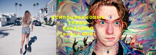 ешки Верхний Тагил
