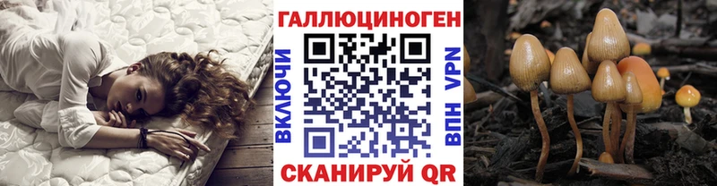 Галлюциногенные грибы прущие грибы  мега зеркало  Голицыно 