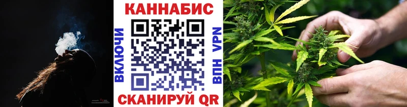 Марихуана сатива Голицыно